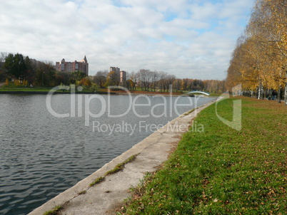 pond in city park