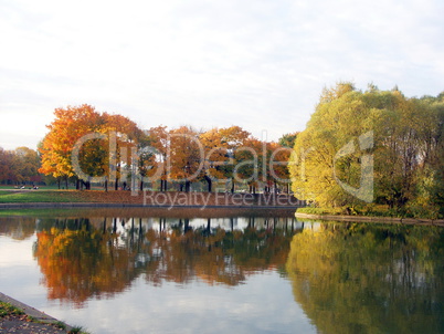 autumn in city park