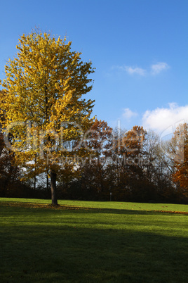 bunter herbst