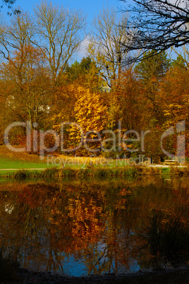 bunter herbst am see