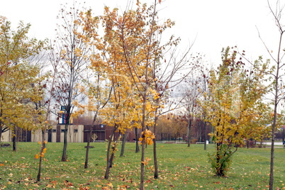 park in autumn