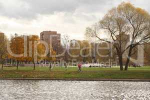 autumn in city park