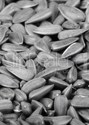 mamy of sunflower seeds