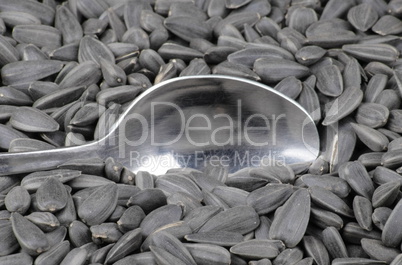 sunflower seeds background and teaspoon