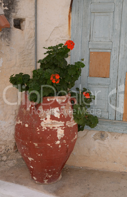 Blumen an einem Haus in Kritsa, Kreta