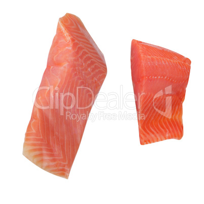 Two Piece of Red Fish Fillet Isolated on White