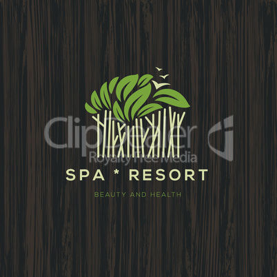 Logotype for spa resort or beauty business, logo design, vector illustration.