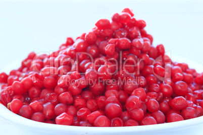 harvest of red schizandra