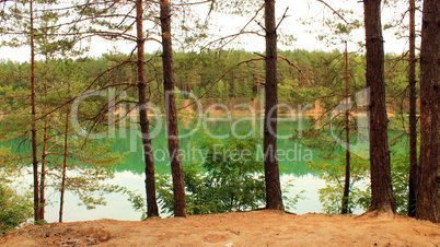 lake in the forest