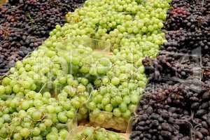 grapes in the supermarket