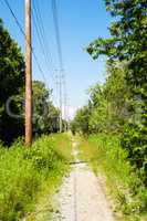 Dirt path in forest receding along power lines
