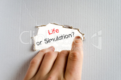 Life or simulation text concept