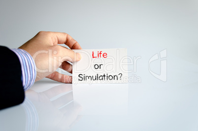 Life or simulation text concept