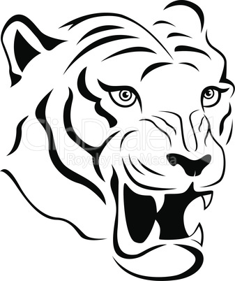 Aggressive tiger head close-up