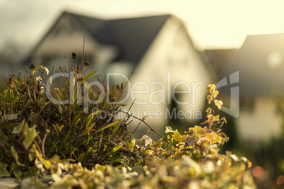 Balkonblick im Herbst