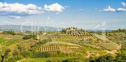 Fields in Tuscany