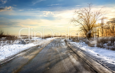 Road in winter