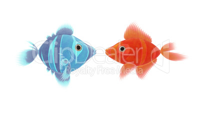 red and blue fish