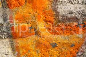 Steinmauer mit orangener Farbe