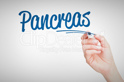 Pancreas against female hand holding black whiteboard marker