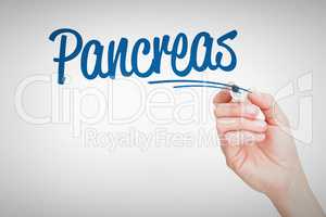 Pancreas against female hand holding black whiteboard marker