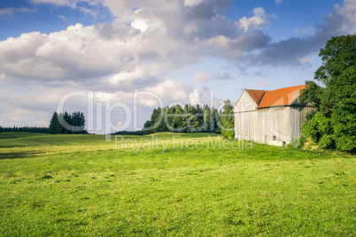 meadow with a hut