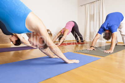 Yoga Exercise Yoga Exercise