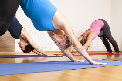 Yoga Exercise Yoga Exercise