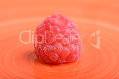 Ripe red raspberries close up