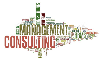 management consulting text cloud