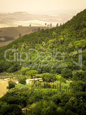 Tuscany Landscape