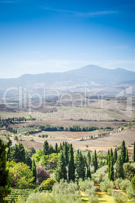 Pienza Landscape