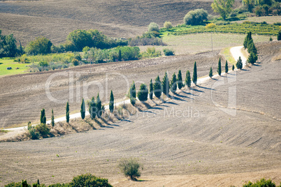 Pienza Landscape