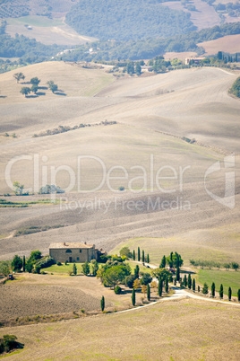 Pienza Landscape