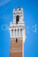 Tower in Siena Italy
