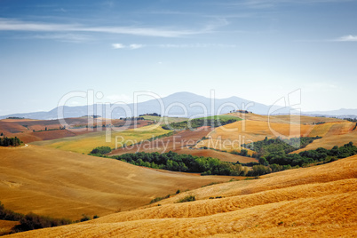 Tuscany Landscape