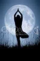 yoga pale moon