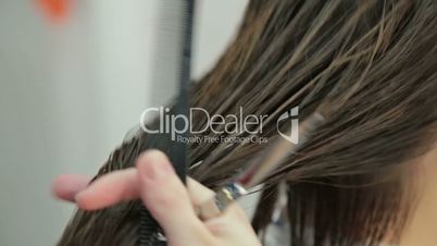 Hairdresser combing client's wet hair in salon