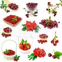 Berries red set