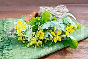 Celandine with knife and twine on board