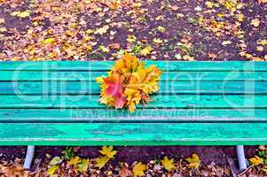 Maple leaves on green bench