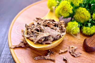 Root dry of Rhodiola rosea in spoon on tray