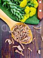 Root dry of Rhodiola rosea in spoonful on board