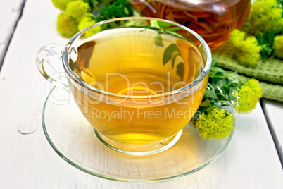 Tea of Rhodiola rosea in cup on light board