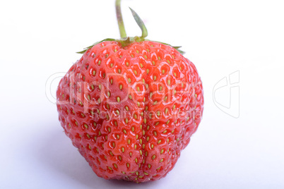 fresh strawberries close up isolated on a white background