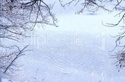 The view through the frame of the snowy branches on the frozen l