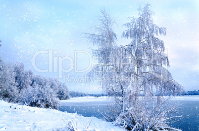 Winter landscape with trees, covered with hoarfrost and lake vie