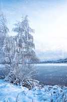Winter landscape with trees, covered with hoarfrost and lake