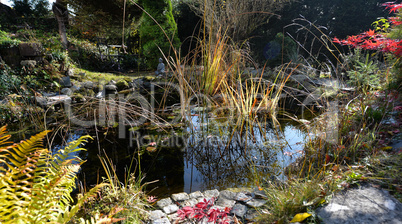 Gartenteich im Herbst