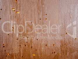 Retro look Wood damaged by furniture beetle